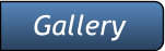 Gallery Gallery